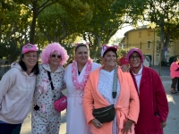 Une marée rose mobilisée contre le Cancer du sein