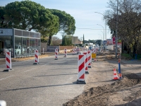 Travaux sur Salvador Allende : une avenue plus verte et plus sûre