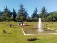 La plantation de bulbes passe à la vitesse supérieure ! La plantation de bulbes passe à la vitesse supérieure !