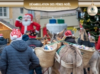 Maison du Père Noël et déambulation des ânes Maison du Père Noël et déambulation des ânes
