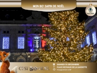 J-7 : Mon BO’sapin de Noël