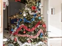 Le foyer Daudet célèbre le nouvel an autour d’un repas Le foyer Daudet célèbre le nouvel an autour d’un repas